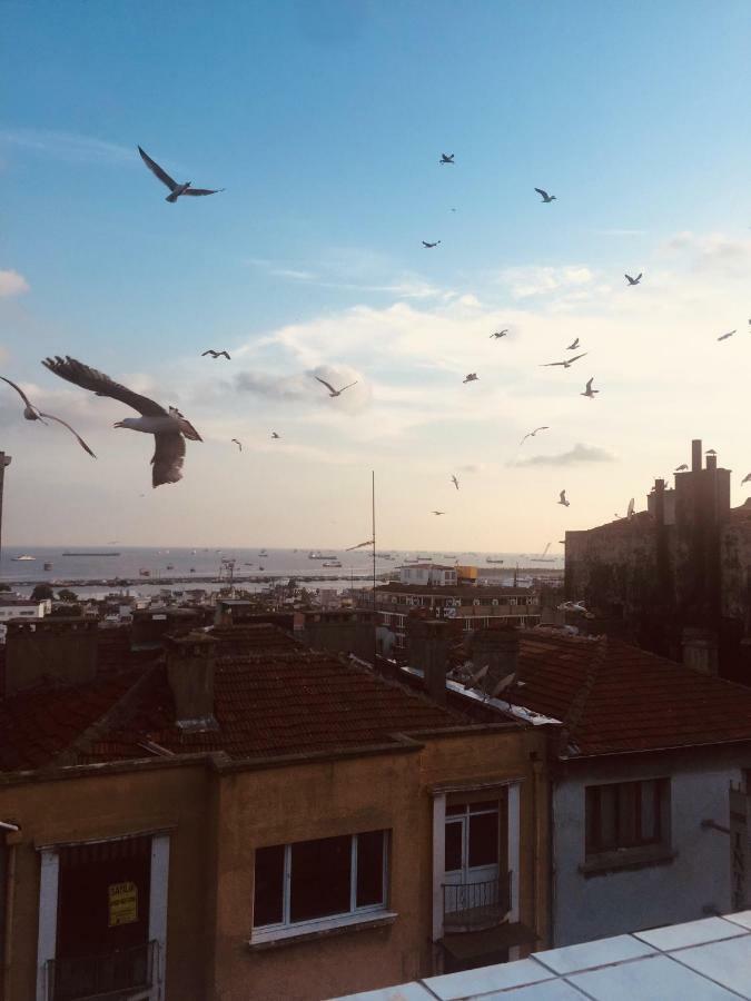 çağan Guest * Istambul